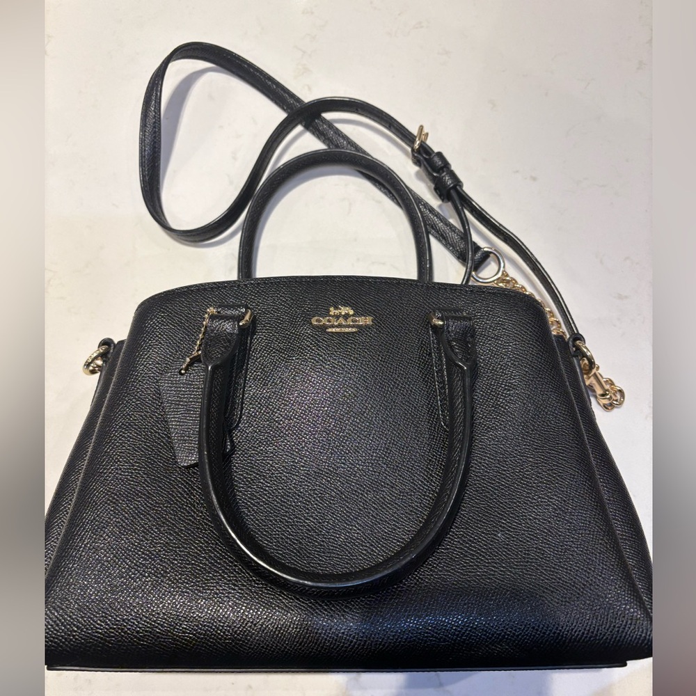 Coach Mini Sage Satchel Crossbody Bag